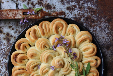 Gâteau apéritif PurEpeautre - CI Epeautre - La céréale précieuse.